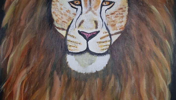 Gorgeous lion
